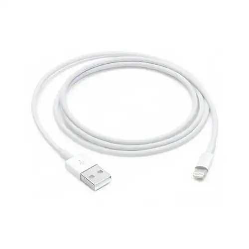 Apple Lightning to USB Cable (1 m)